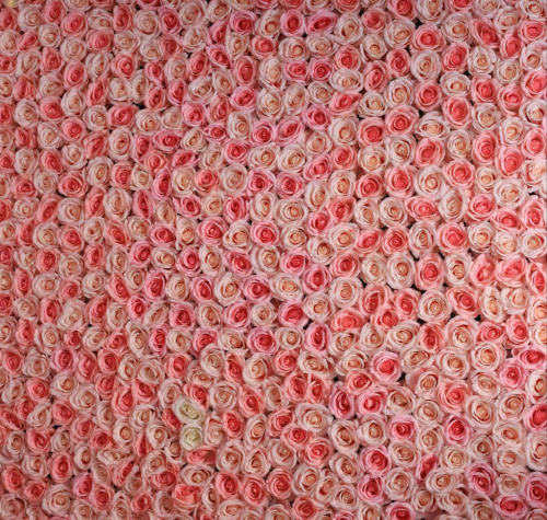 Waridi-Woven-wilton page0 image